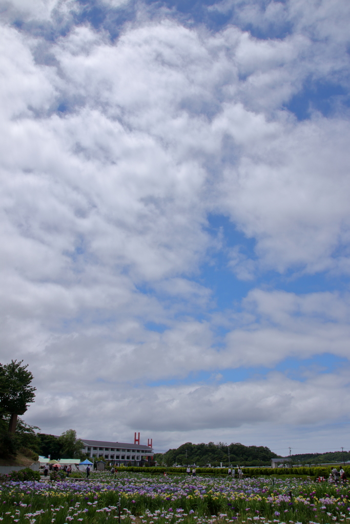 梅雨のあいま