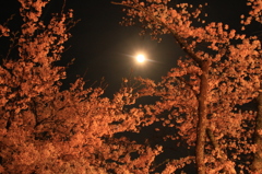 月夜　その２