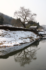 冬の朝倉遺跡　唐門
