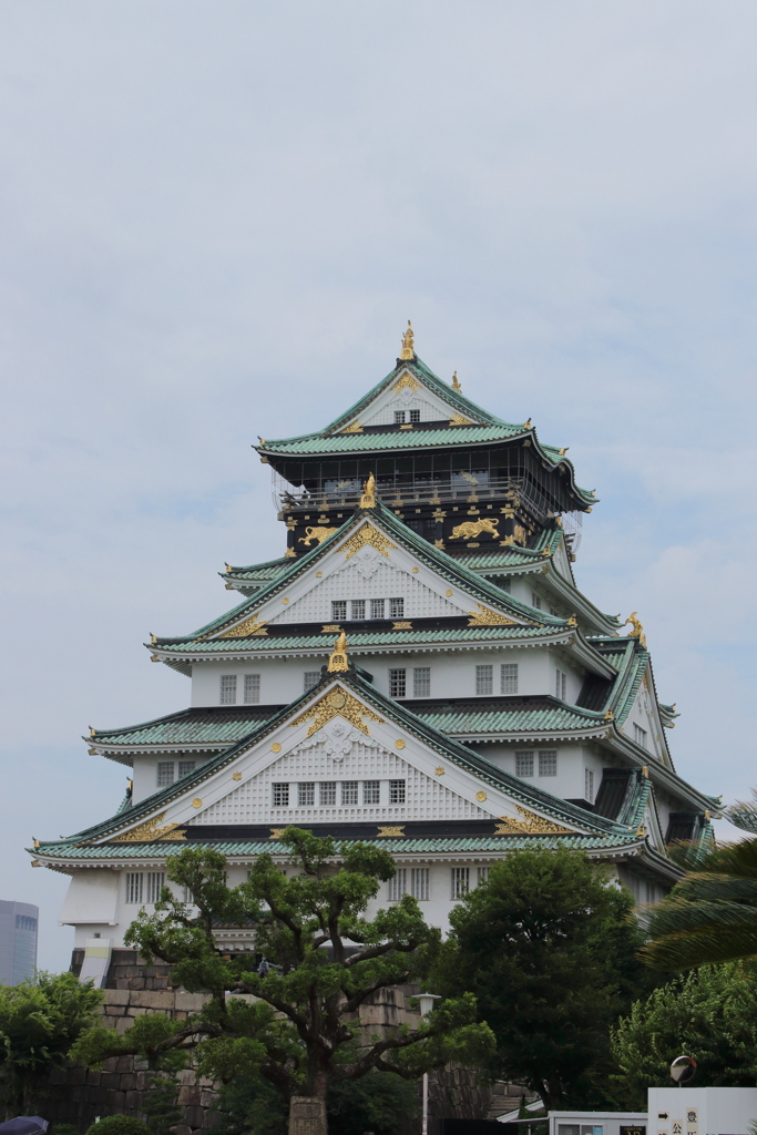 もっと近くで