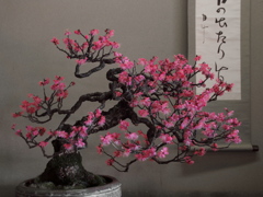 鎮座