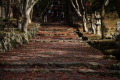 鶏足寺