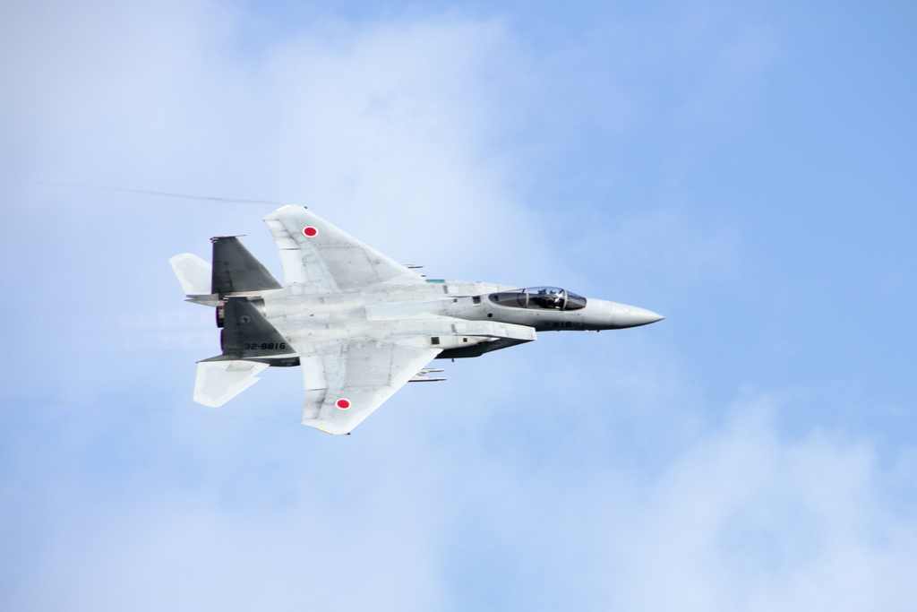 大空に翼を広げ
