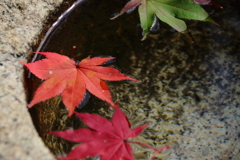 手水鉢