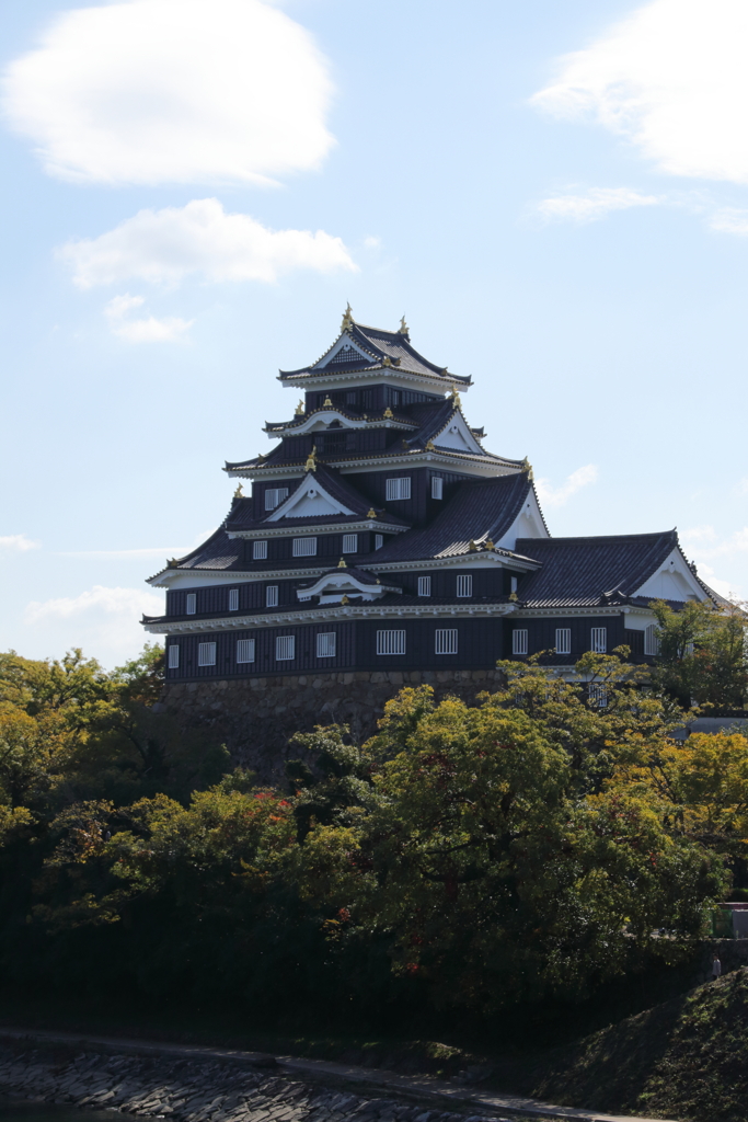 紅葉とのコラボにはまだ早い