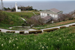 冬の越前岬