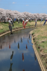 頑張って来月まで泳ぎます。