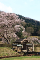 唐門