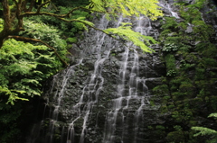 白糸