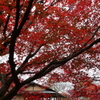 炎上
