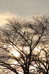 夕暮れ時