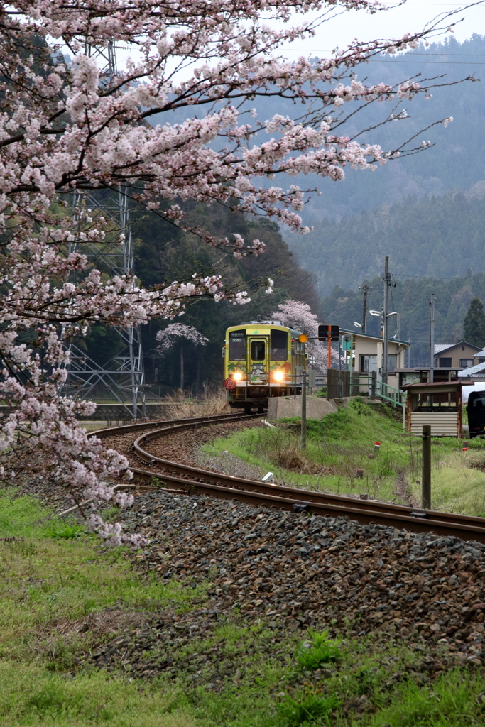 春に向けて、出発