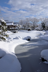 雪に埋もれる！！
