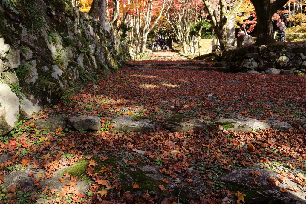 鶏足寺（旧飯福寺）②