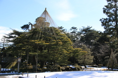 雪吊