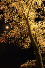 月夜