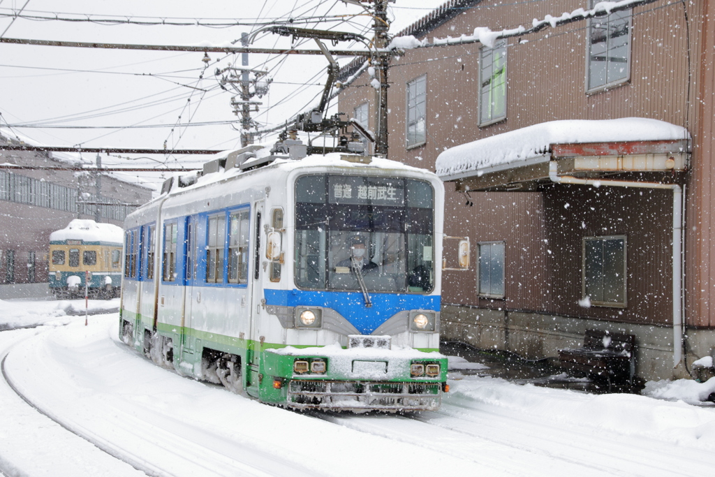 雪の舞い散るなか