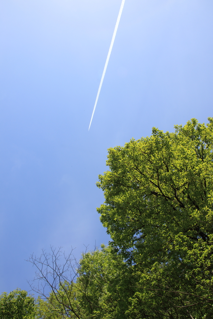 飛行機雲