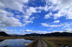 ある晴れた日