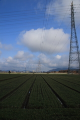 田園