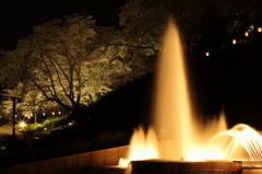 夜の公園