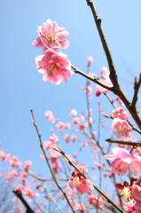 春の予感