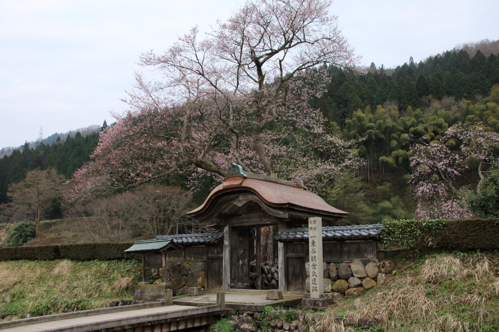 朝倉遺跡　唐門