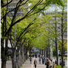 おおさかcity