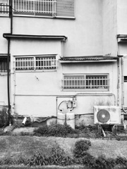 平行感覚