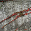 Red Line