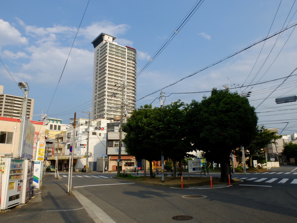 夏日散策