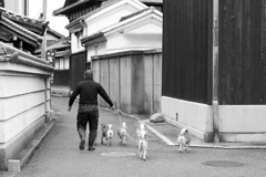 散歩道中