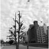 OSAKA CITY