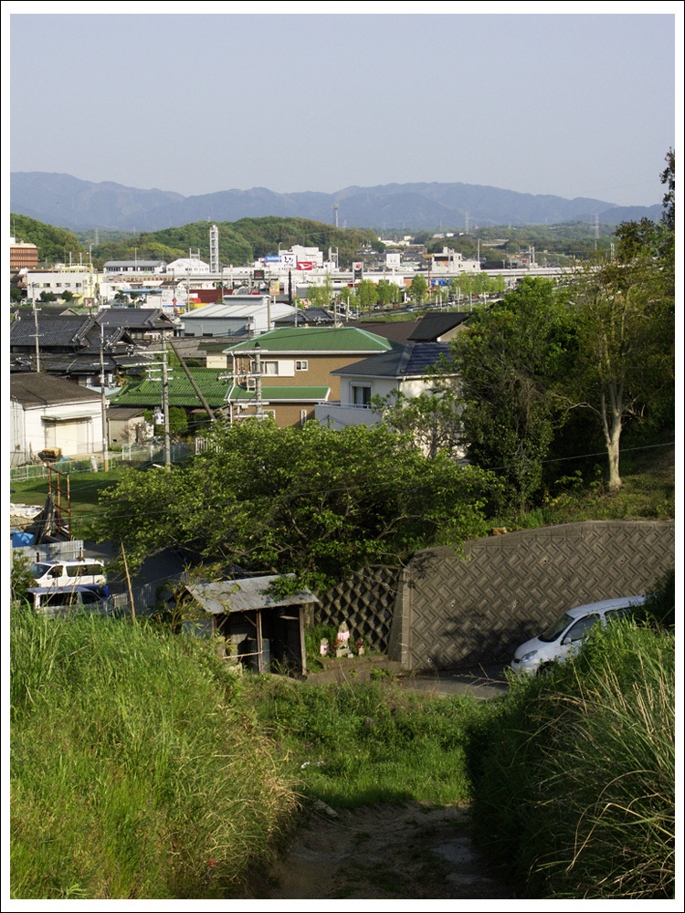増殖住宅