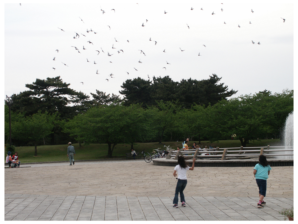 午後の公園で