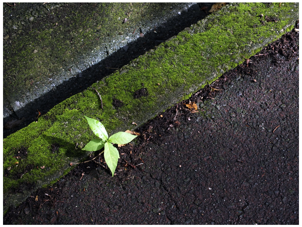 不確かな先行き