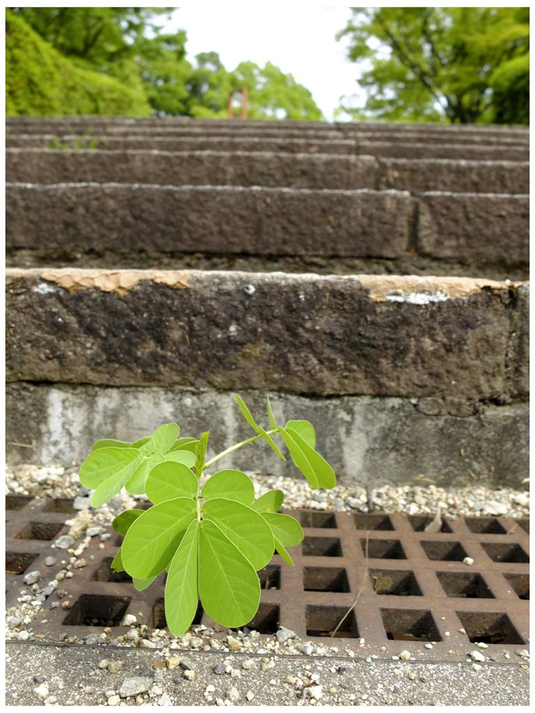 誰のせいでもなく