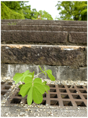 誰のせいでもなく