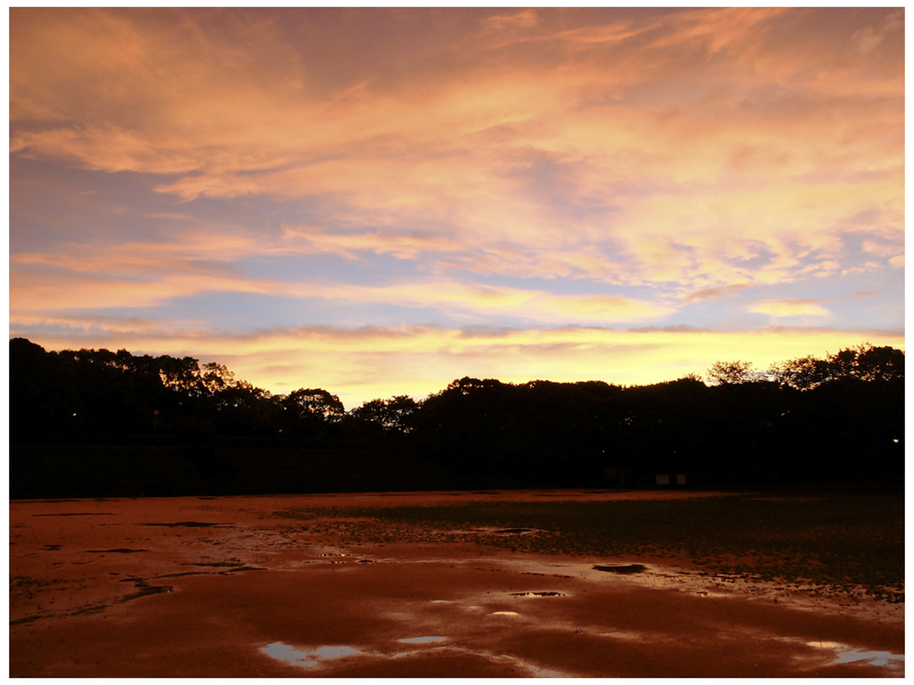 不穏な色に染まって