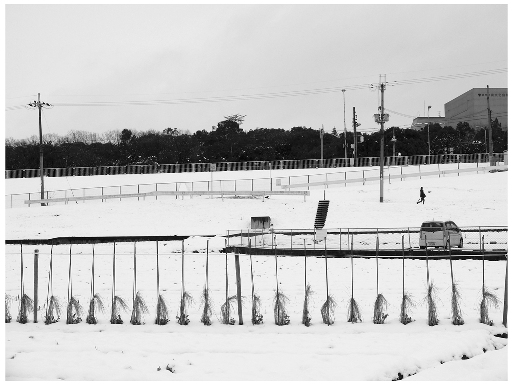 一日限りの雪景色