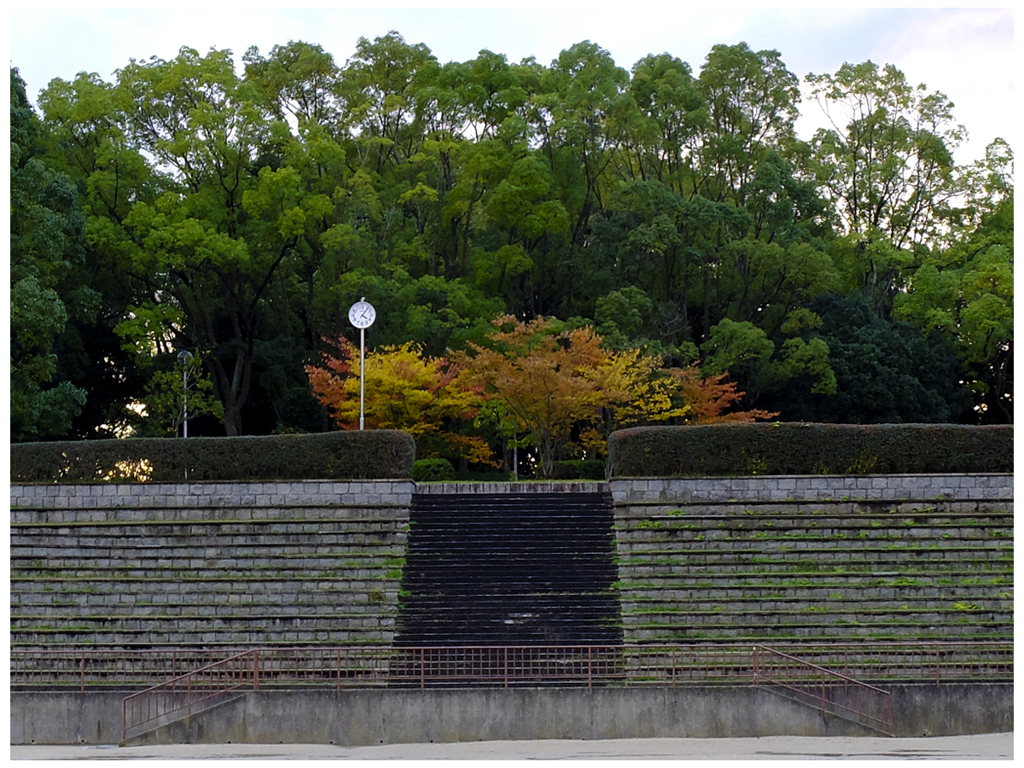 ちっぽけな秋景色