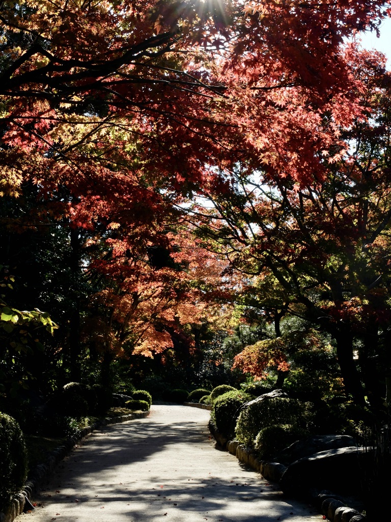 いい日和に誘われて