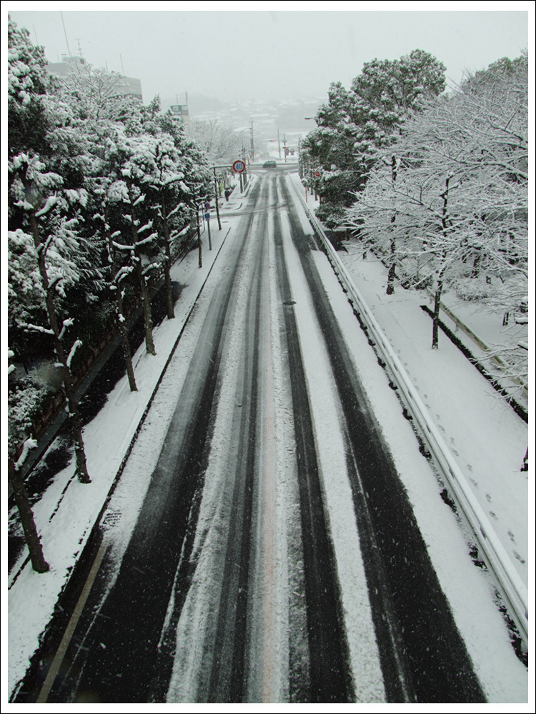 雪降る頃