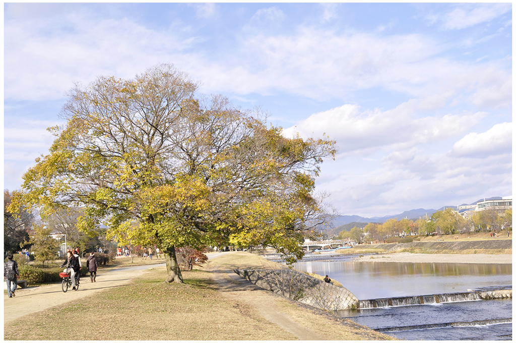 鴨川ぶらり01