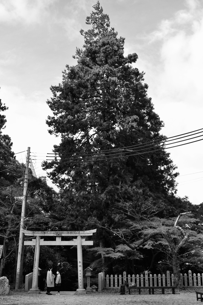 有馬温泉神社へ