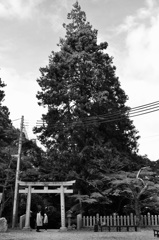 有馬温泉神社へ