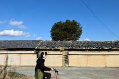 現代版馬小屋