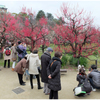 大阪城梅園