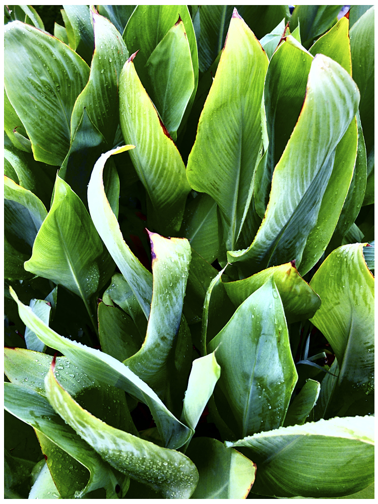 green fire