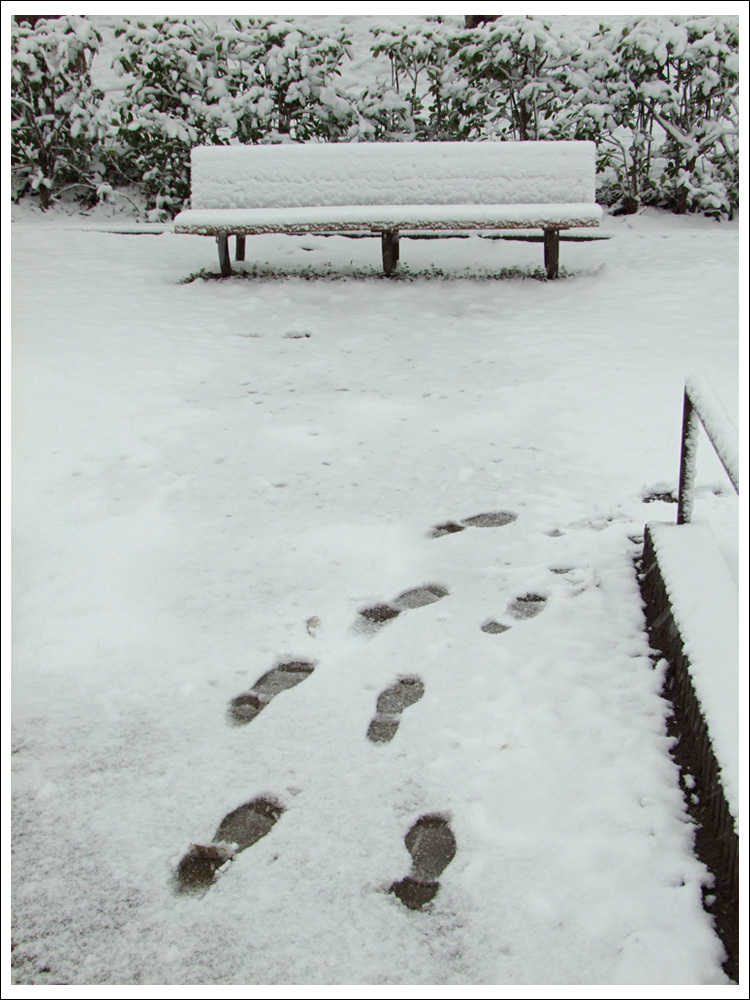 雪降る頃